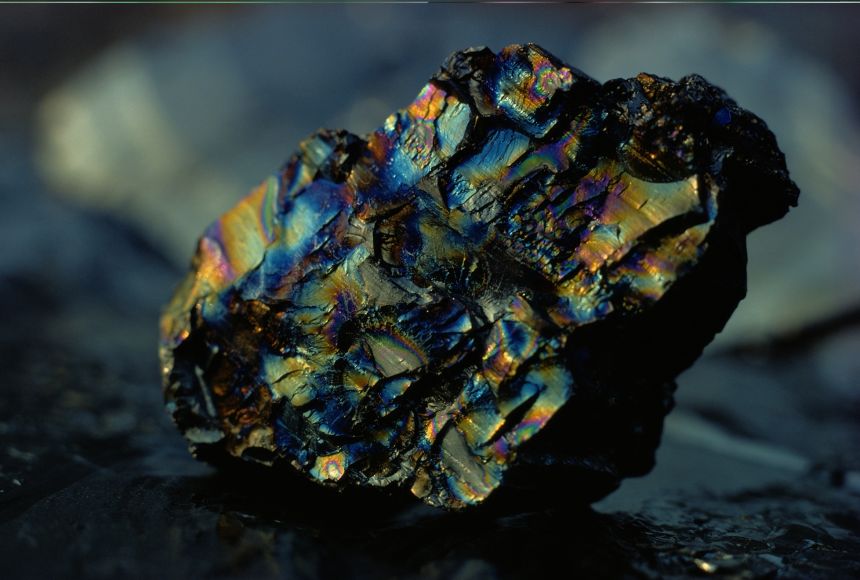 Coal Price